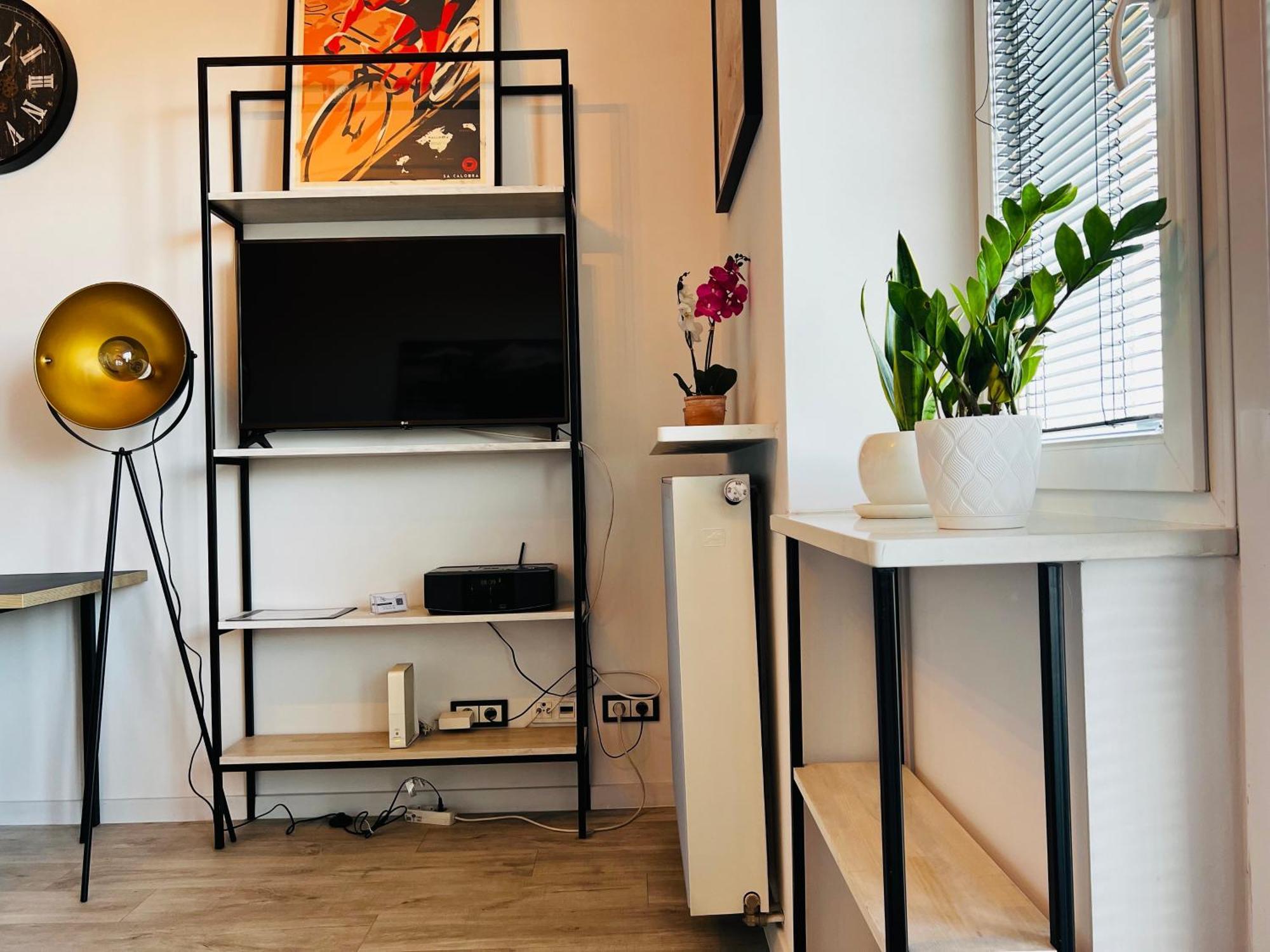 Lazienki Krolewskie Studio Z Antresola I Widokiem Varsovia Exterior foto
